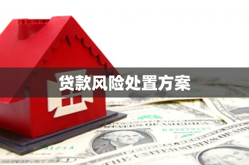 子洲贷款风险处置方案