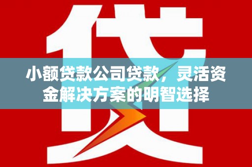 牡丹江小额贷款公司贷款，灵活资金解决方案的明智选择