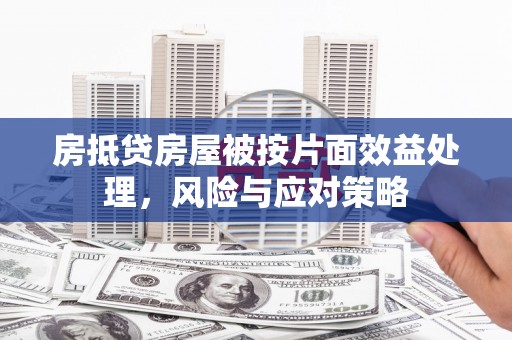 宝鸡房抵贷房屋被按片面效益处理，风险与应对策略