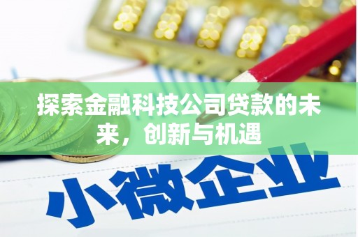 泾川探索金融科技公司贷款的未来，创新与机遇